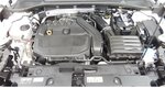 Cupra Formentor 1.5 TSI BMT Klima LED Alu Navi 29.900 km 21.990 &euro; Vordorf 38533