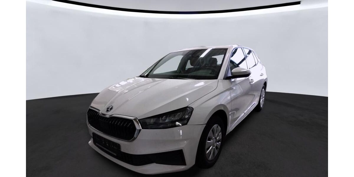 Skoda Fabia 152.205 km 9.990 € Vechelde 38159