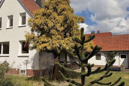 Haus Edemissen Abbensen - 4 Zimmer, 93 m&sup2;, 246.000&euro; | Angebot:26539616