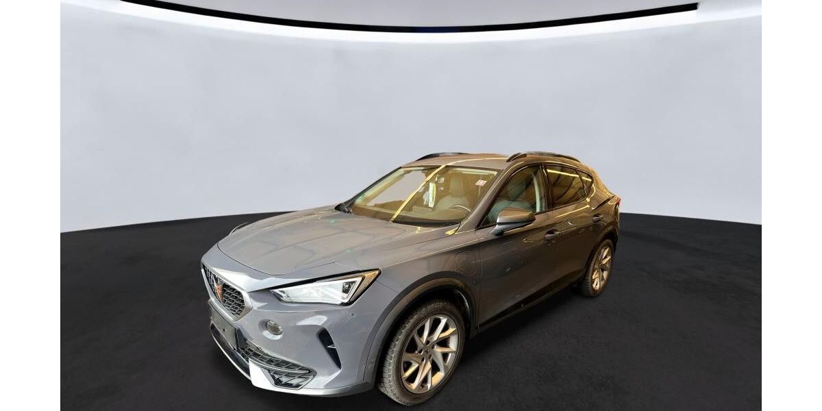 Cupra Formentor 28.600 km 21.990 &euro; Peine 31228