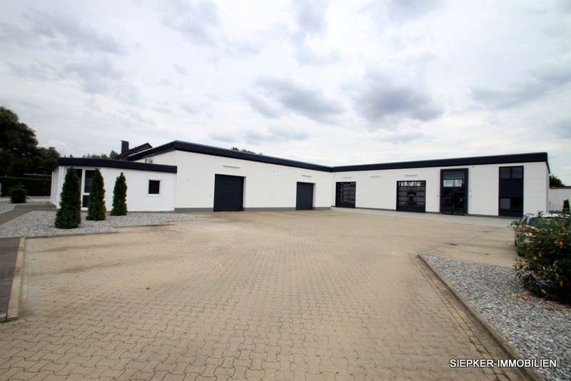 Halle in Braunschweig 3.980 € 375 m²