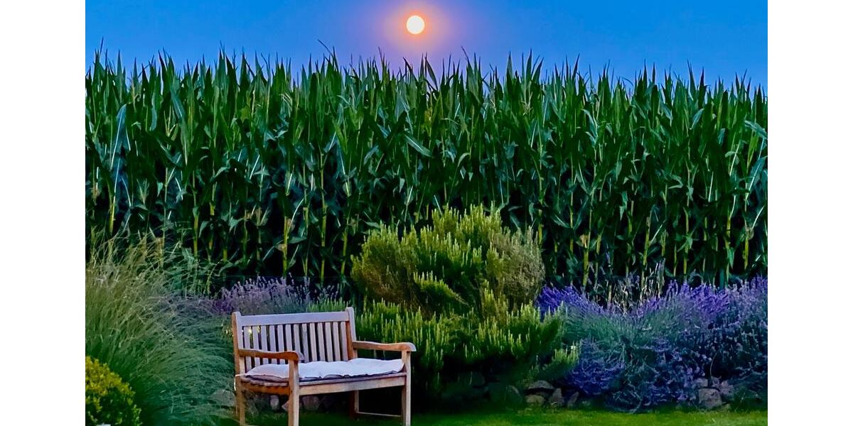 Einfamilienhaus Goslar Jürgenohl - 7 Zimmer, 160 m&sup2;, 1.890&euro; | Angebot:26081171