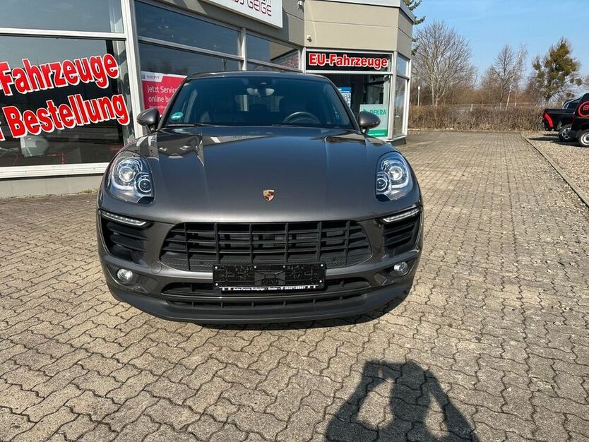 Macan