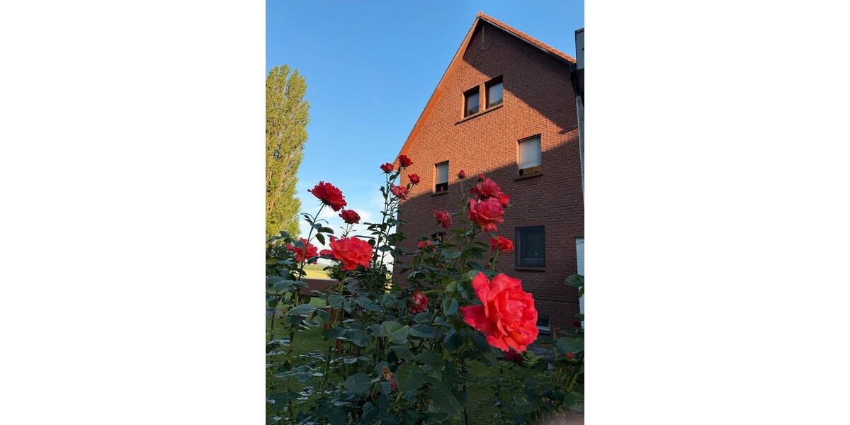 Einfamilienhaus Salzgitter Ortschaft Nord - 1 Zimmer, 1 m&sup2;, 550.000&euro; | Angebot:26933532
