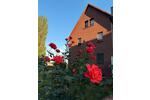Einfamilienhaus Salzgitter Ortschaft Nord - 1 Zimmer, 1 m&sup2;, 550.000&euro; | Angebot:26933532