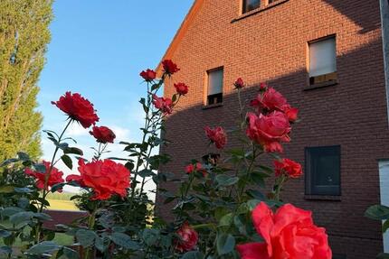 Haus Salzgitter Ortschaft Nord - 1 Zimmer, 1 m&sup2;, 550.000&euro; | Angebot:26933532