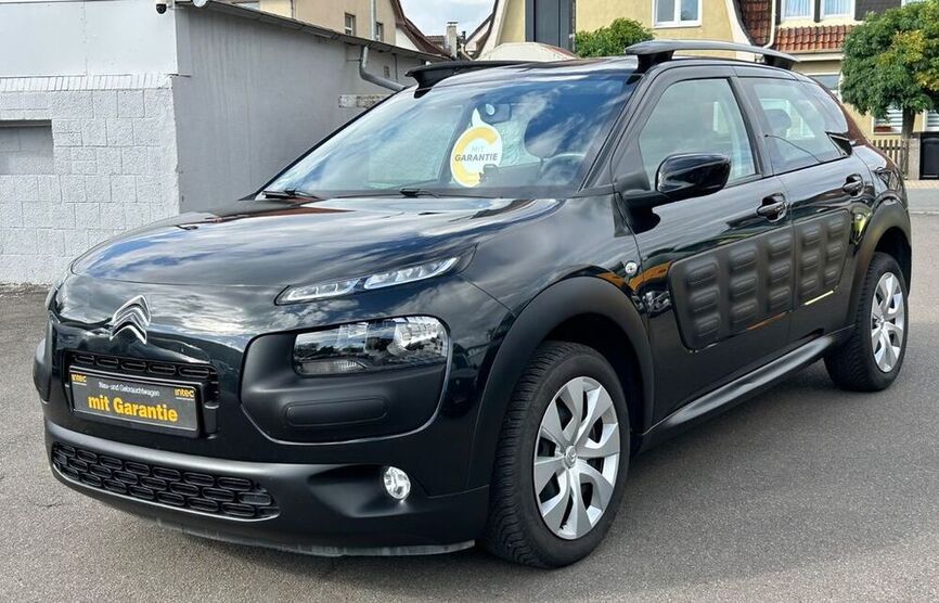 C4 Cactus