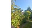 Einfamilienhaus Braunschweig Lehndorf-Watenbüttel - 5 Zimmer, 115 m&sup2;, 440.000&euro; | Angebot:27030669
