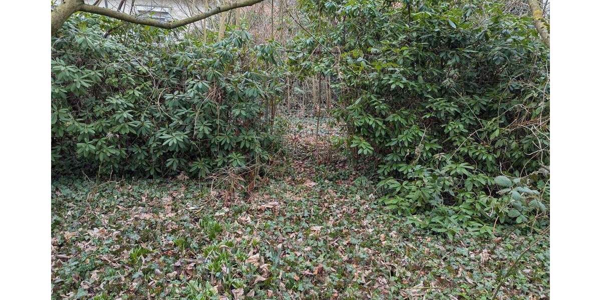 Doppelhaushälfte Salzgitter Bad - 6 Zimmer, 123 m&sup2;, 179.000&euro; | Angebot:25804040