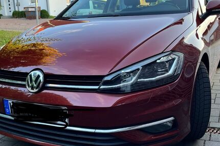 VW Golf 65.500 km 18.600 € Holle 31188