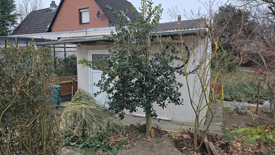 Mehrfamilienhaus, Wohnhaus Salzgitter Ortschaft Ost - 6 Zimmer, 190 m&sup2;, 220.000&euro; | Angebot:25640652