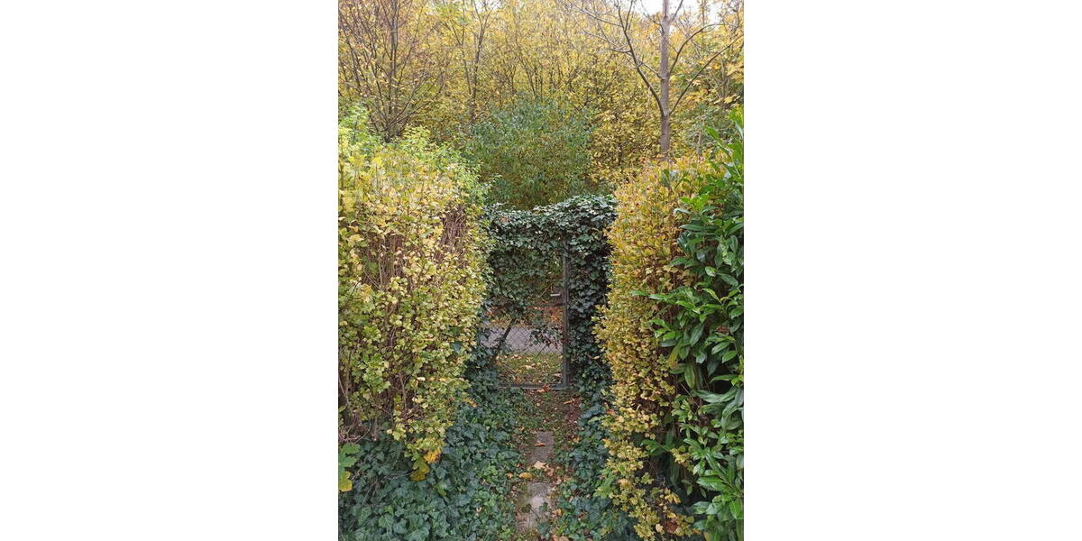 Einfamilienhaus Braunschweig Kanzlerfeld - 5 Zimmer, 120 m&sup2;, 500.000&euro; | Angebot:26117656