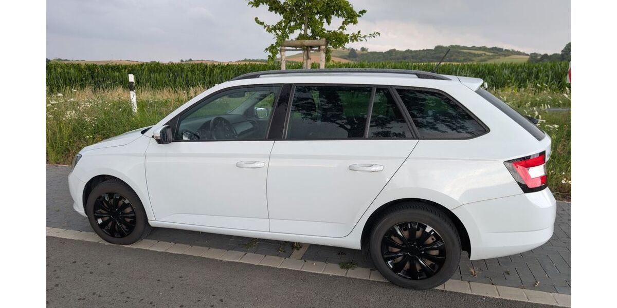Skoda Fabia 119.000 km 6.500 &euro; Wolfenbüttel 38304