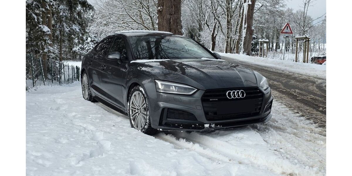 Audi A5 119.300 km 25.900 &euro; Cremlingen 38162