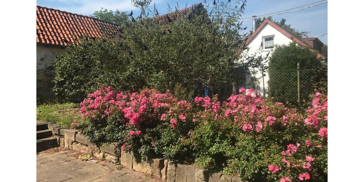 Einfamilienhaus Hildesheim Himmelsthür - 5 Zimmer, 112 m&sup2;, 412.000&euro; | Angebot:26758560