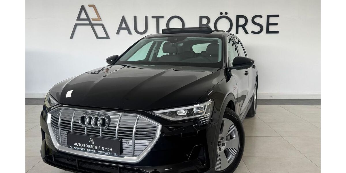 Audi e-tron 30.200 km 26.890 &euro; Braunschweig 38114