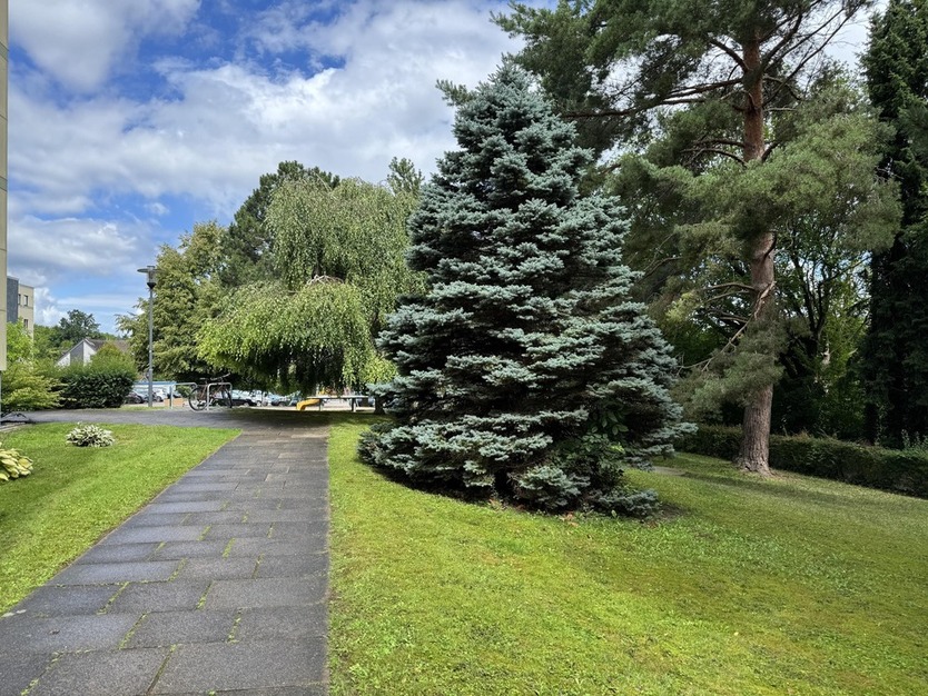 4-Zimmer-ETW mit tollem Ausblick 4 zimmer