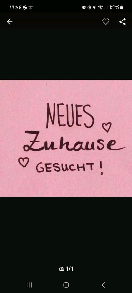 In Münchehof