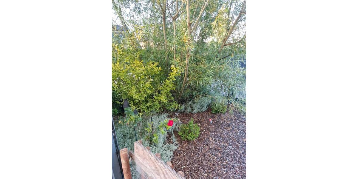 Einfamilienhaus mit 4 Zimmern in Salzgitter-Fredenbeg 4 zimmer