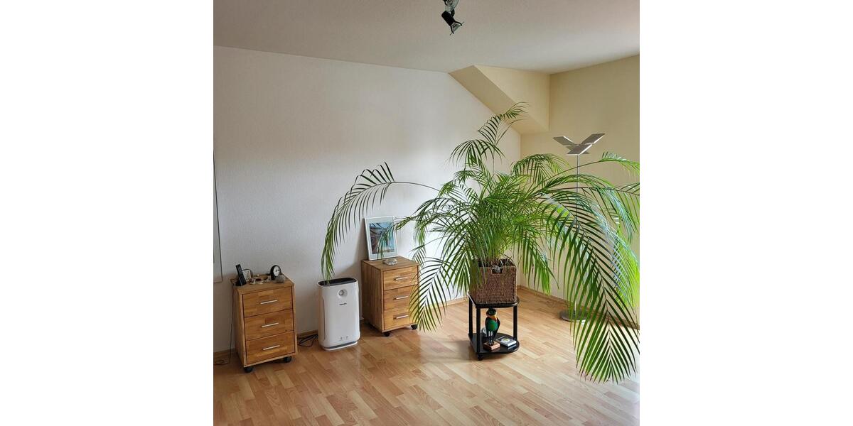 Etagenwohnung Salzgitter Ortschaft Ost - 3 Zimmer, 120 m&sup2;, 800&euro; | Angebot:25263771