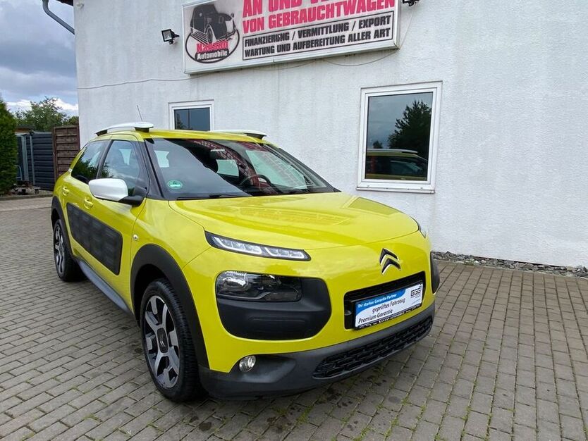 C4 Cactus