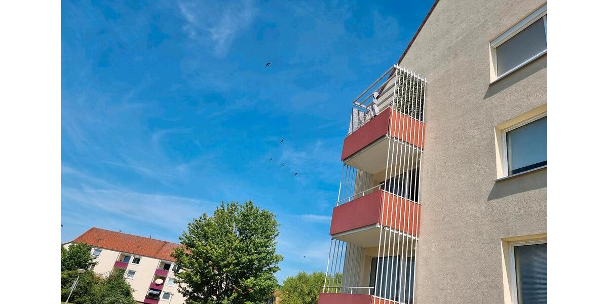 2 Zimmer wohnung 2 zimmer