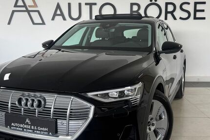 Audi e-tron 30.200 km 29.890 &euro; Braunschweig 38114