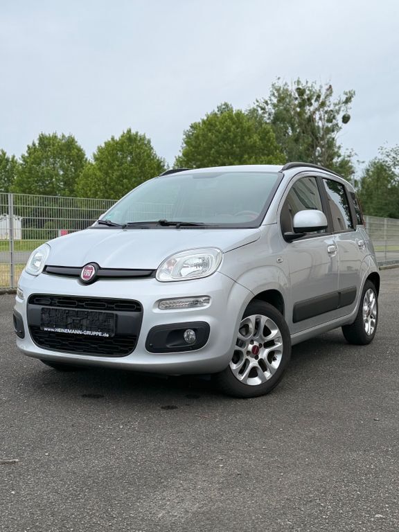 Panda