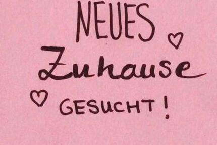 In Münchehof