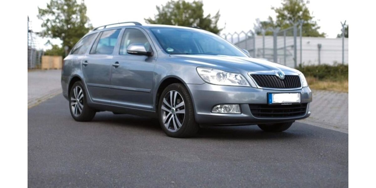 Skoda Octavia 262.000 km 4.500 &euro; Salzgiter 38259