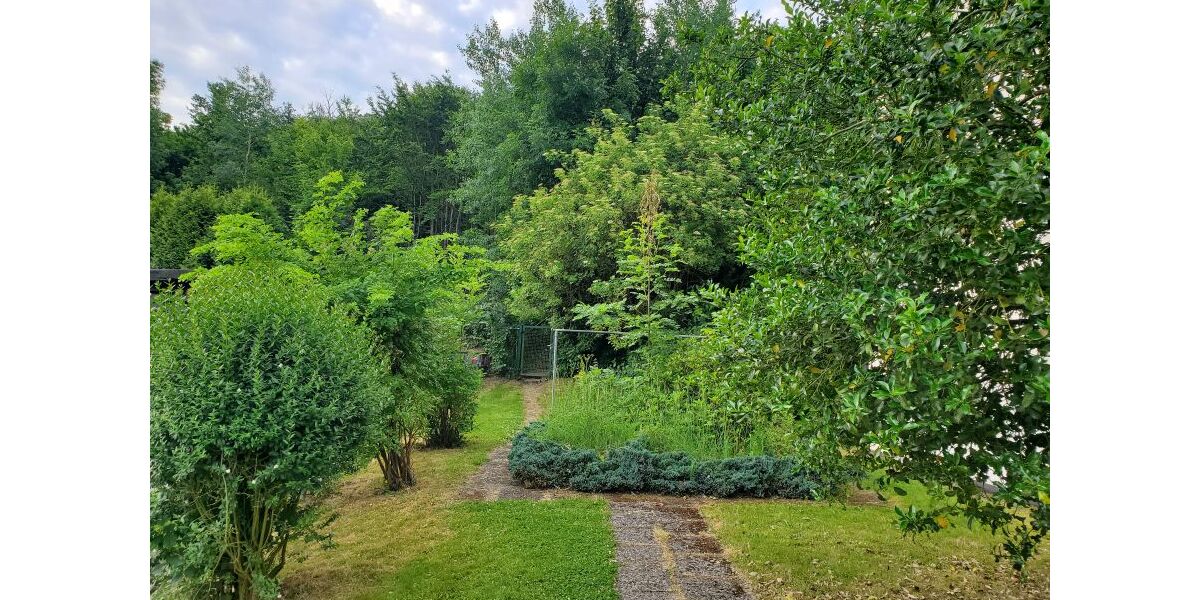 Provisionsfrei* Schöne kleine Wohnung im Harz - Etagenwohnung Langelsheim | Angebot:26387664