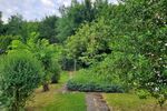 Provisionsfrei* Schöne kleine Wohnung im Harz - Etagenwohnung Langelsheim | Angebot:26387664