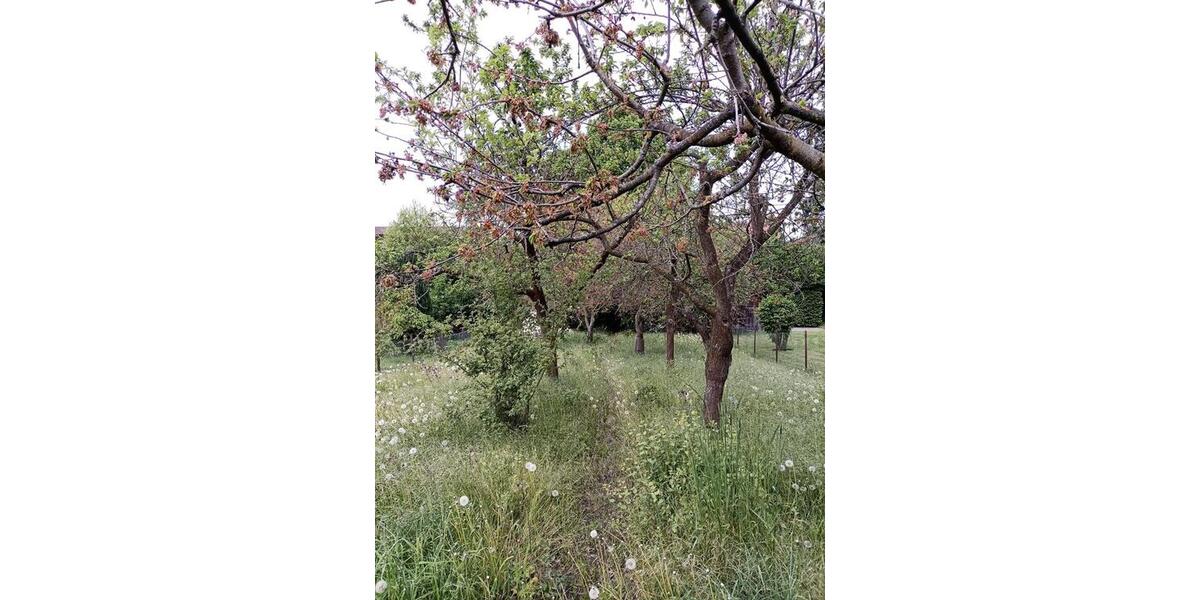 Einfamilienhaus Bockenem - 30.000&euro; | Angebot:24712879