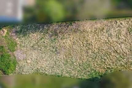 Grundstück zu verkaufen in Liebenburg Groß Döhren 49.000 € 1212 m² zimmer