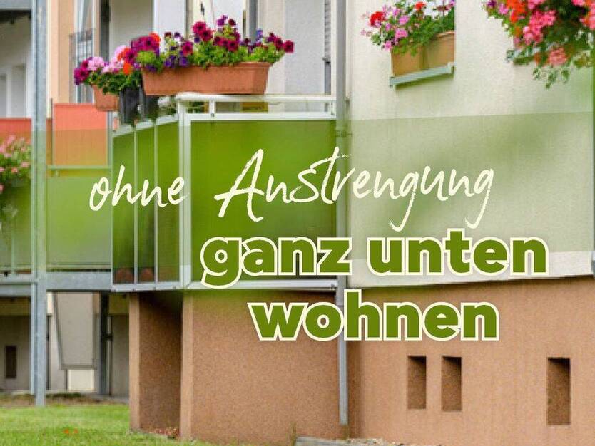 Ideal für Faule, Hunde und Kinderwagen