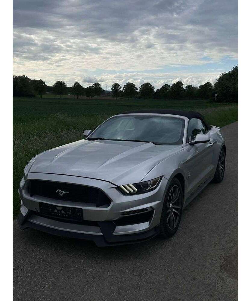 Mustang