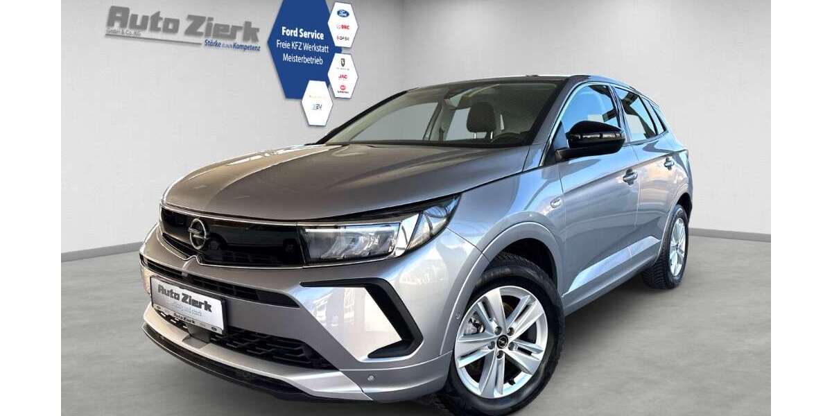 Opel Grandland X 12.277 km 21.890 &euro; Peine 31226