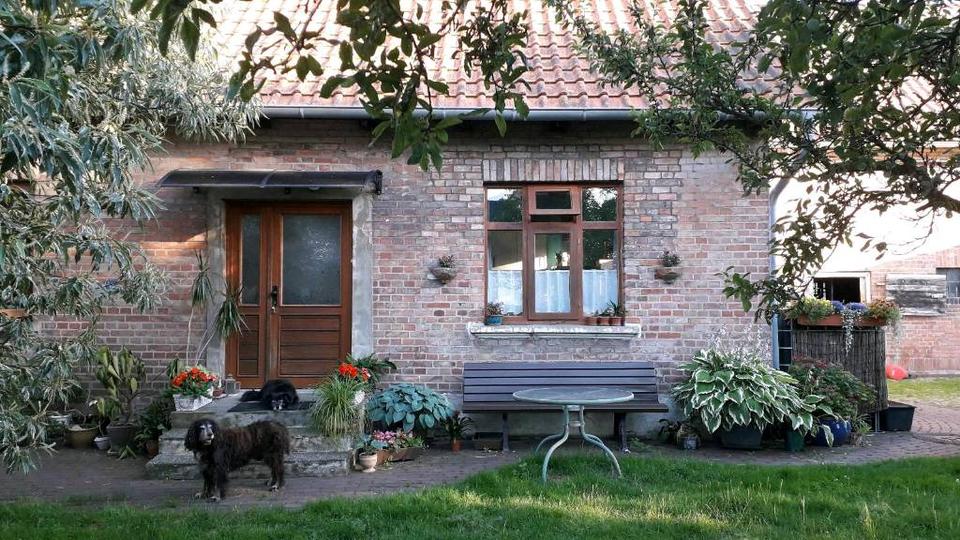 Einfamilienhaus Meine - 439.000&euro; | Angebot:27269902