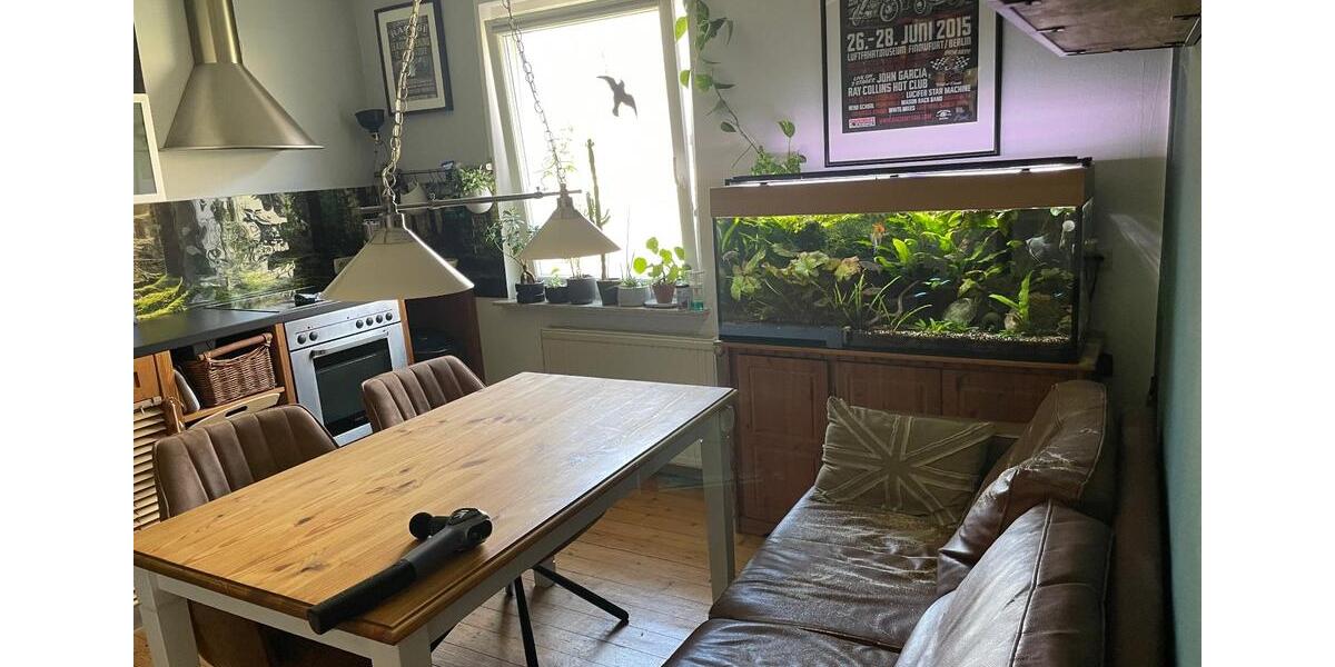 Doppelhaushälfte Holle - 4 Zimmer, 120 m&sup2;, 950&euro; | Angebot:26225559