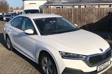 Skoda Octavia 186.129 km 16.999 &euro; Braunschweig 38110