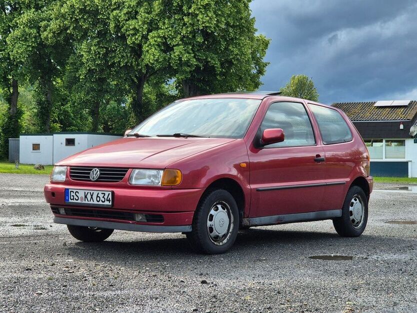 Polo