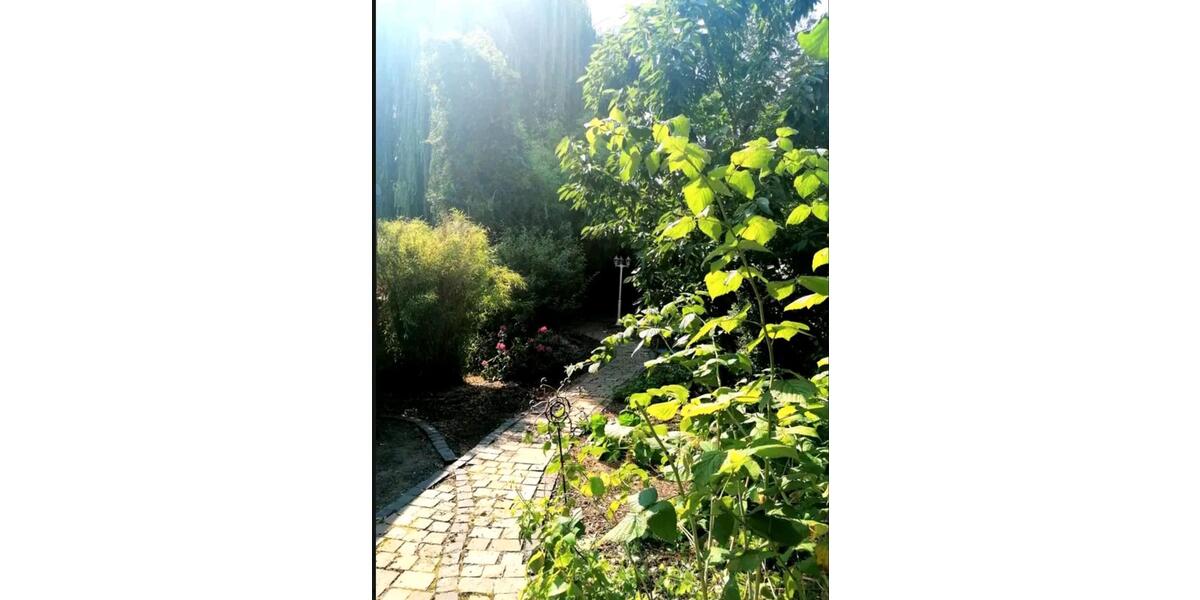Mehrfamilienhaus, Wohnhaus Wolfenbüttel - 13 Zimmer, 308 m&sup2;, 480.000&euro; | Angebot:26506343