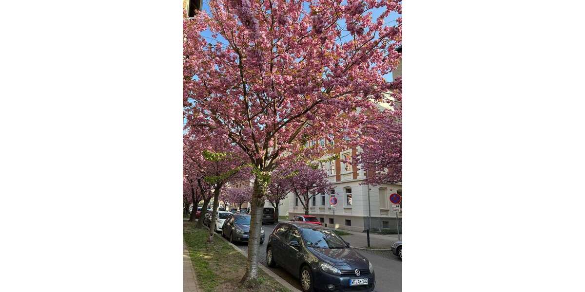 Etagenwohnung Braunschweig Nordstadt - 2 Zimmer, 62 m&sup2;, 560&euro; | Angebot:26916211
