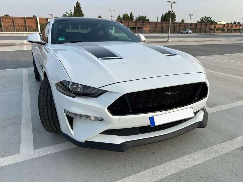 Mustang
