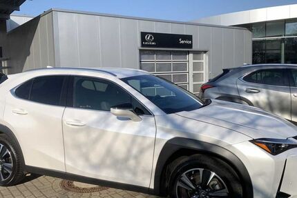Lexus UX 14.089 km 31.980 € Braunschweig 38114