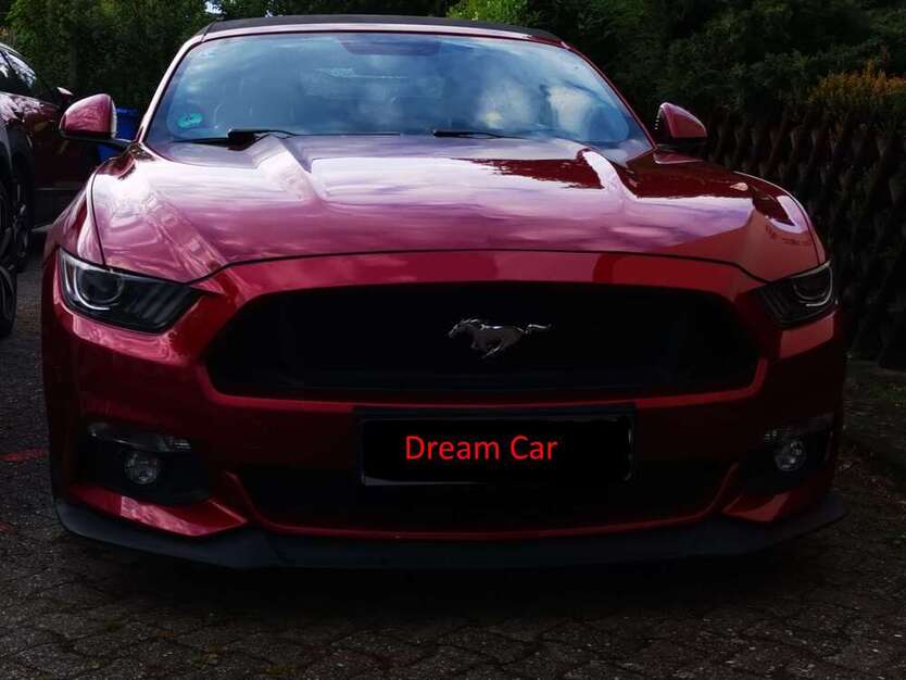 Mustang