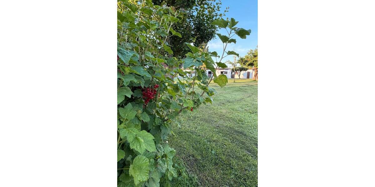 Einfamilienhaus Salzgitter Ortschaft Nord - 1 Zimmer, 1 m&sup2;, 550.000&euro; | Angebot:26933532