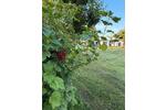 Einfamilienhaus Salzgitter Ortschaft Nord - 1 Zimmer, 1 m&sup2;, 550.000&euro; | Angebot:26933532