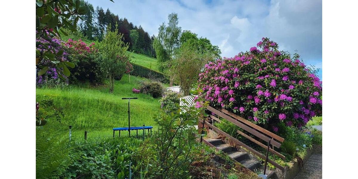 Einfamilienhaus Langelsheim - 7 Zimmer, 274 m&sup2;, 165.000&euro; | Angebot:26292952