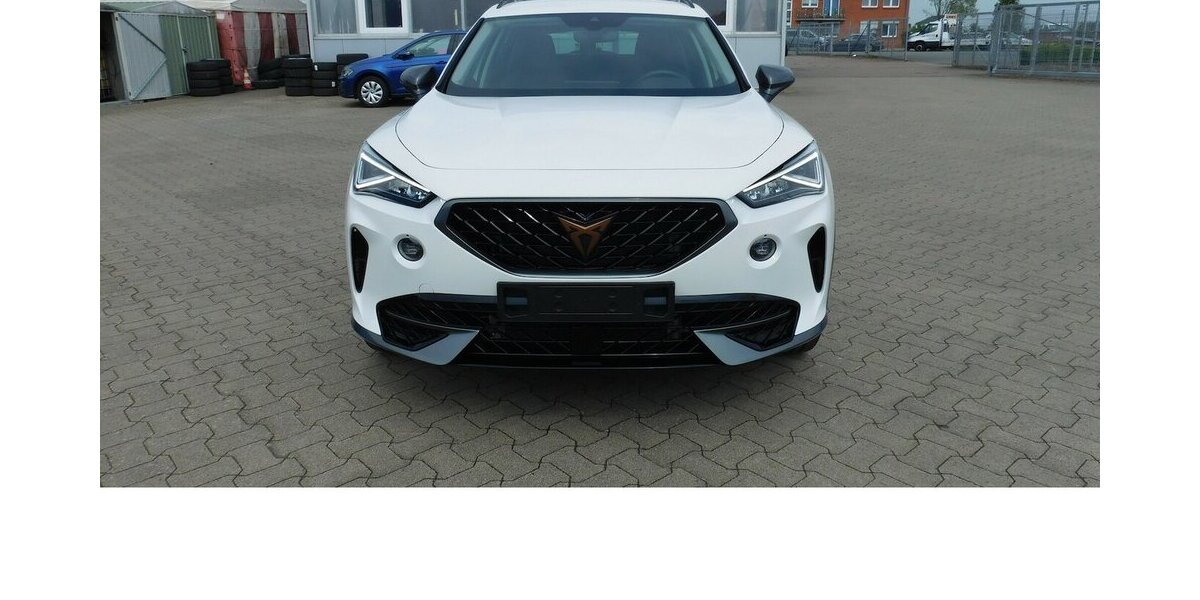 Cupra Formentor 1.5 TSI BMT Klima LED Alu Navi 29.900 km 21.990 &euro; Vordorf 38533